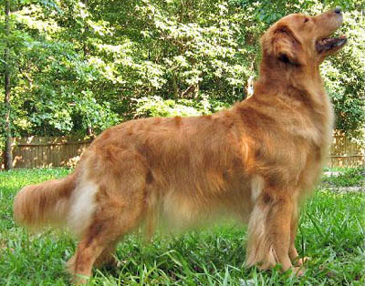 Crescent I'll Get U My Pretty Ruby